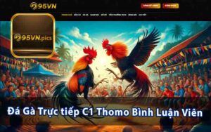 Đá Gà Trực tiếp C1 Thomo Bình Luận Viên - Giao Diện Cực Dễ Dàng